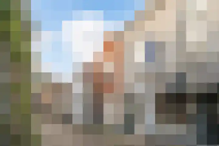 Visstraat 17 Tholen thumbnail 6