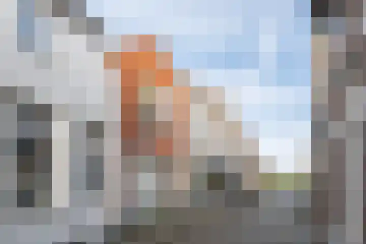 Visstraat 17 Tholen thumbnail 8