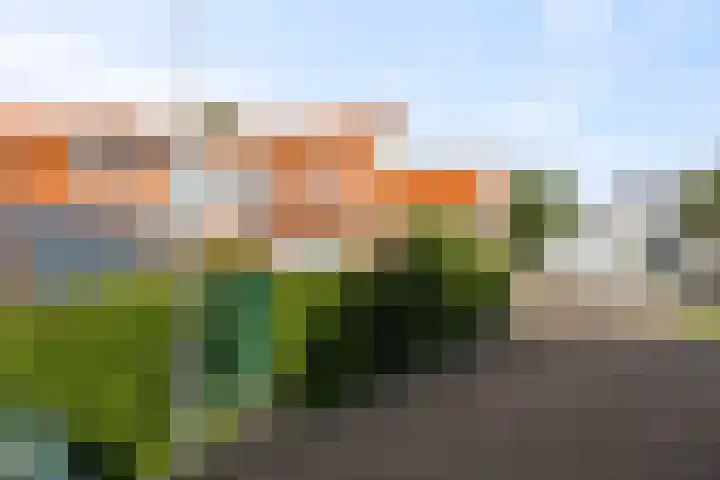 Visstraat 93 Den Helder thumbnail 6