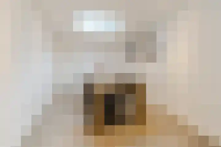 Visven 309 Veghel thumbnail 21