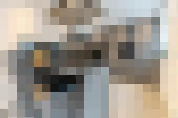 Visven 309 Veghel thumbnail 22