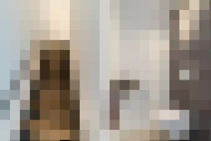 Visven 309 Veghel thumbnail 27
