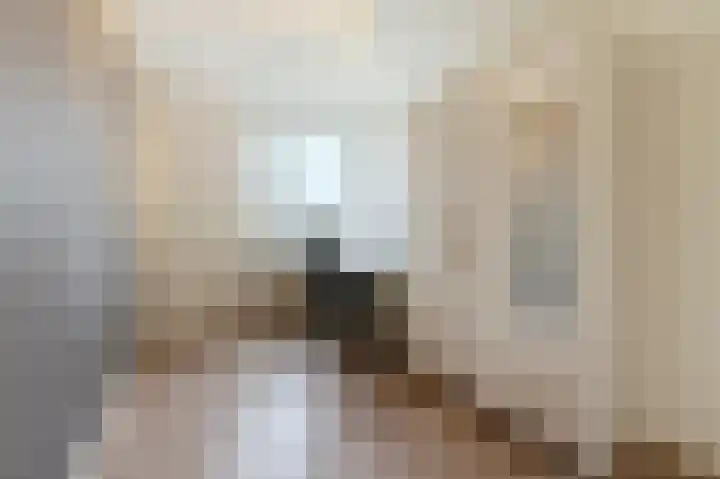 Visven 309 Veghel thumbnail 33