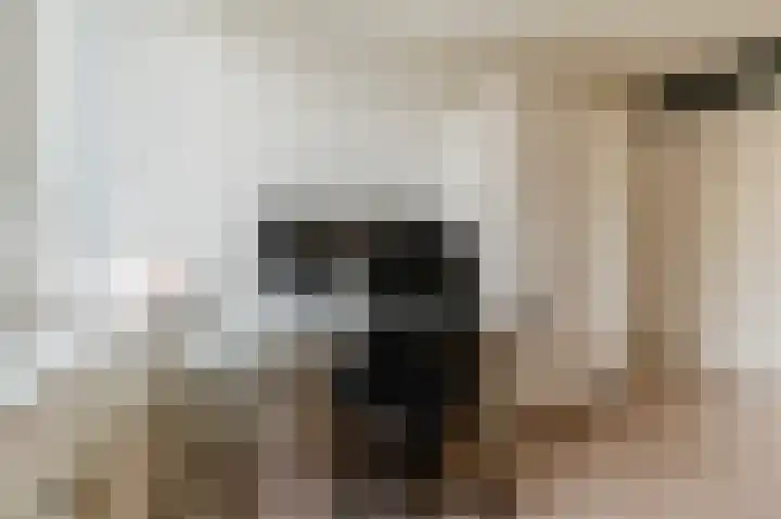 Visven 309 Veghel thumbnail 34