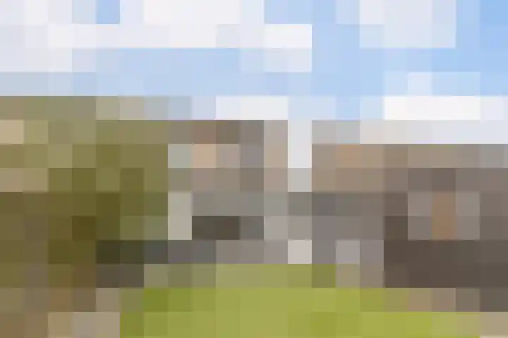 Visven 309 Veghel thumbnail 45