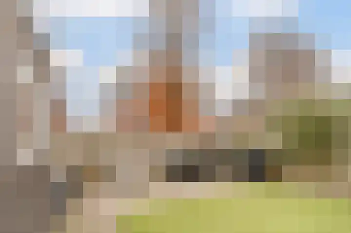 Visven 309 Veghel thumbnail 47