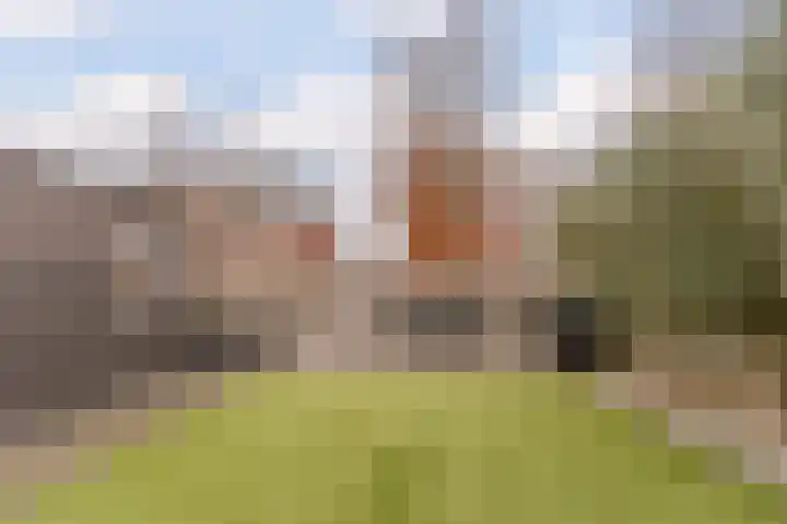 Visven 309 Veghel thumbnail 48