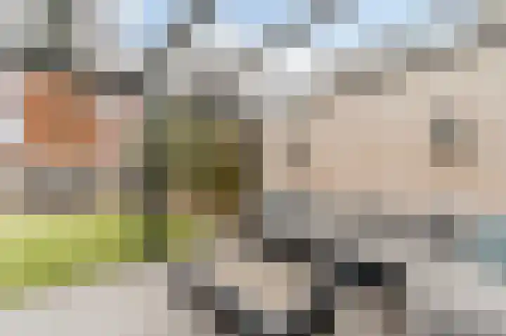 Visven 309 Veghel thumbnail 49