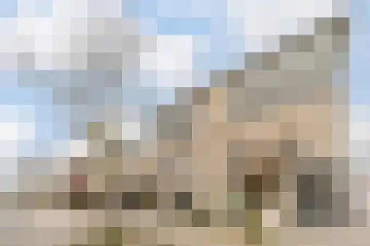 Visven 309 Veghel thumbnail 55