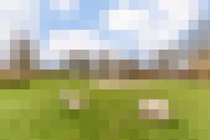 Visven 309 Veghel thumbnail 61
