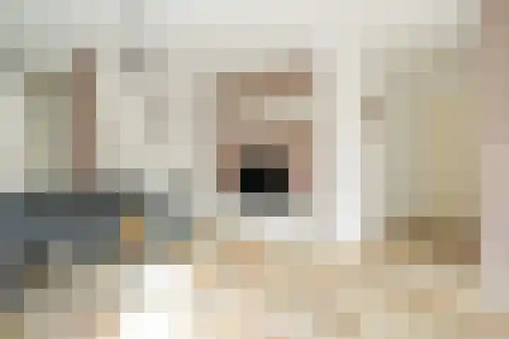 Visven 351 Veghel thumbnail 10