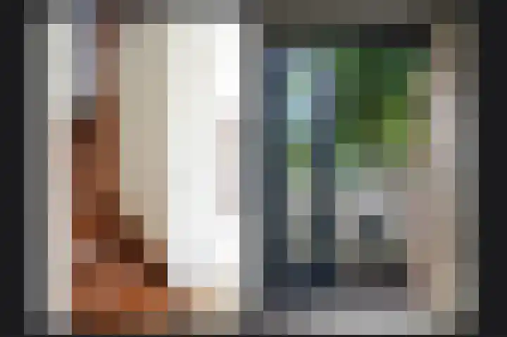 Visven 351 Veghel thumbnail 15
