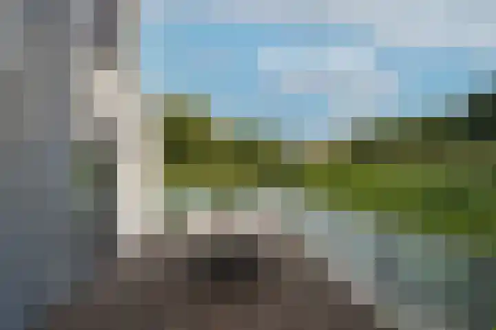 Visven 351 Veghel thumbnail 20