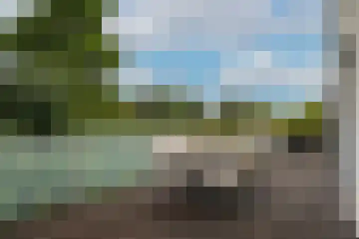 Visven 351 Veghel foto 3
