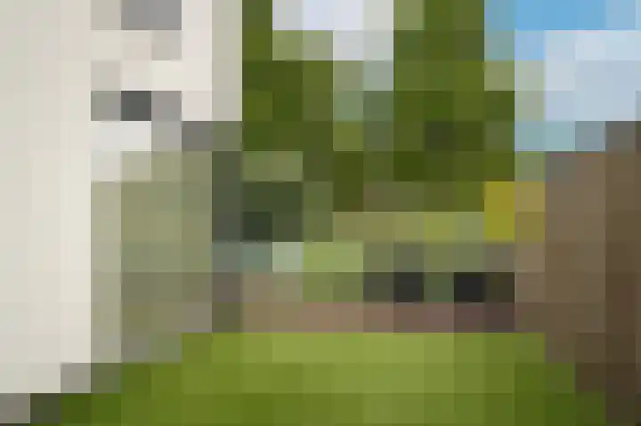 Visven 351 Veghel thumbnail 4
