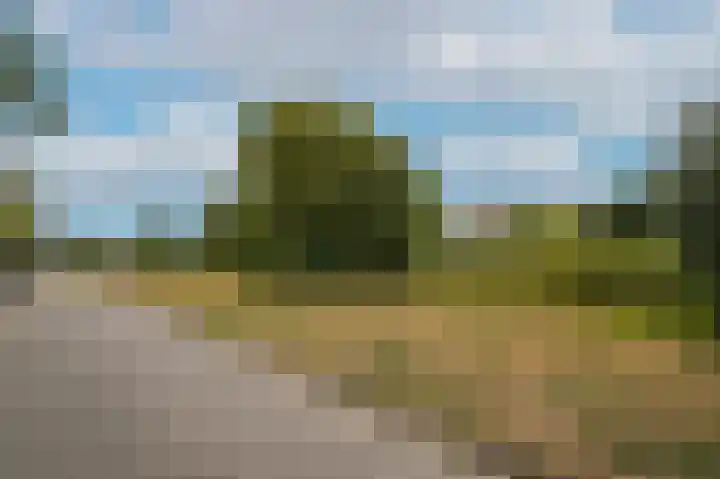 Visven 351 Veghel thumbnail 50