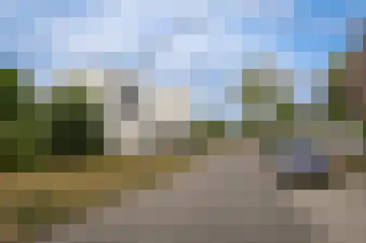 Visven 351 Veghel thumbnail 51