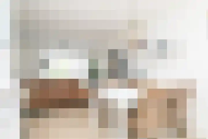 Visven 501 Veghel thumbnail 13