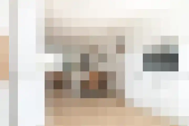Visven 501 Veghel thumbnail 15