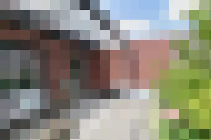 Visven 501 Veghel thumbnail 32