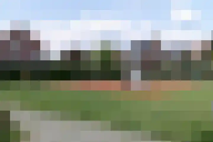 Visven 501 Veghel thumbnail 5