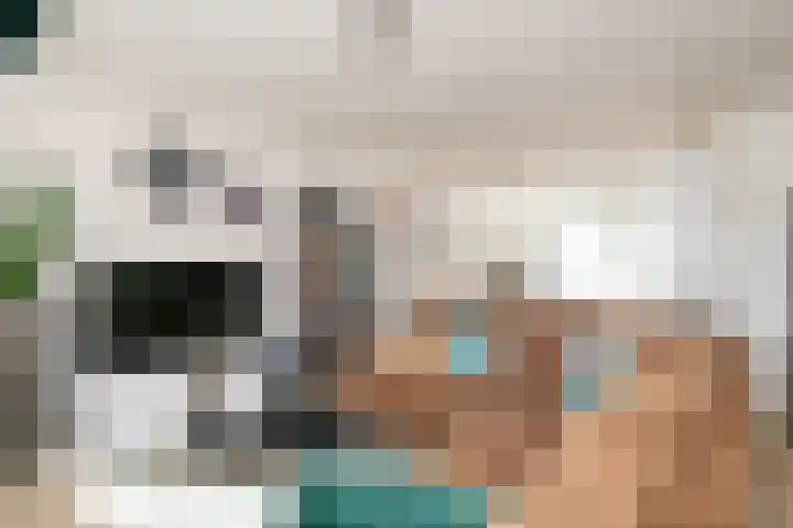 Visven 501 Veghel thumbnail 8