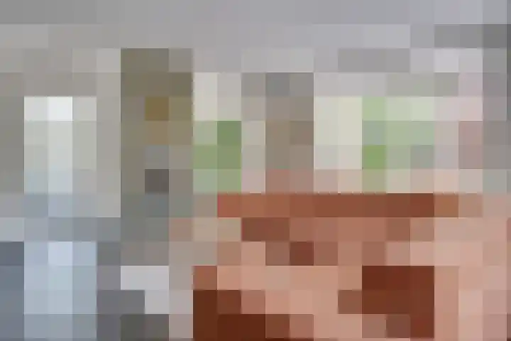 Visven 55 Veghel thumbnail 11