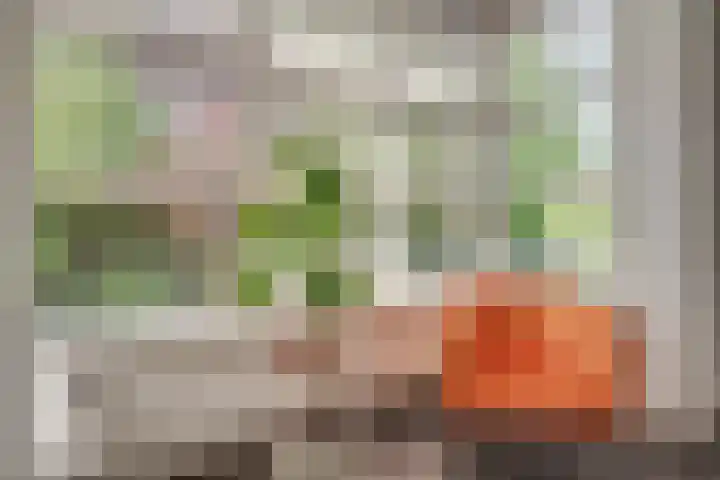 Visven 55 Veghel thumbnail 14