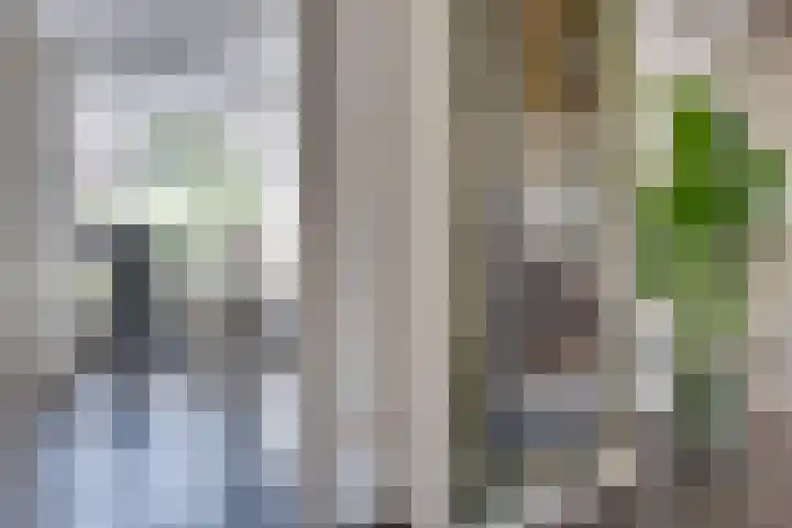 Visven 55 Veghel thumbnail 15