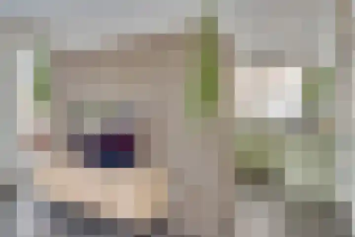 Visven 55 Veghel thumbnail 16