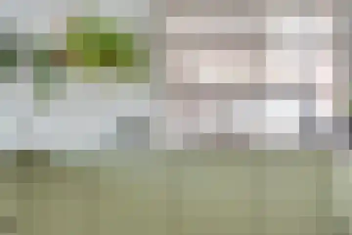Visven 55 Veghel thumbnail 17
