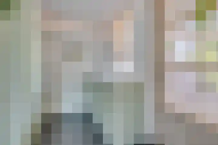 Visven 55 Veghel thumbnail 24