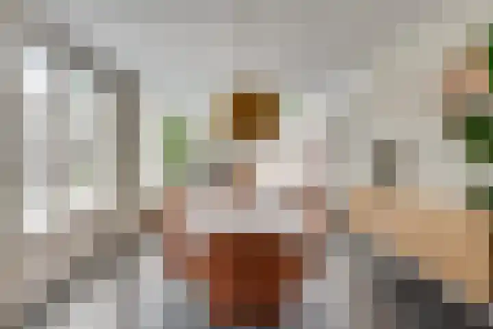 Visven 55 Veghel thumbnail 4