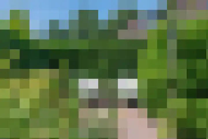 Visven 55 Veghel thumbnail 45