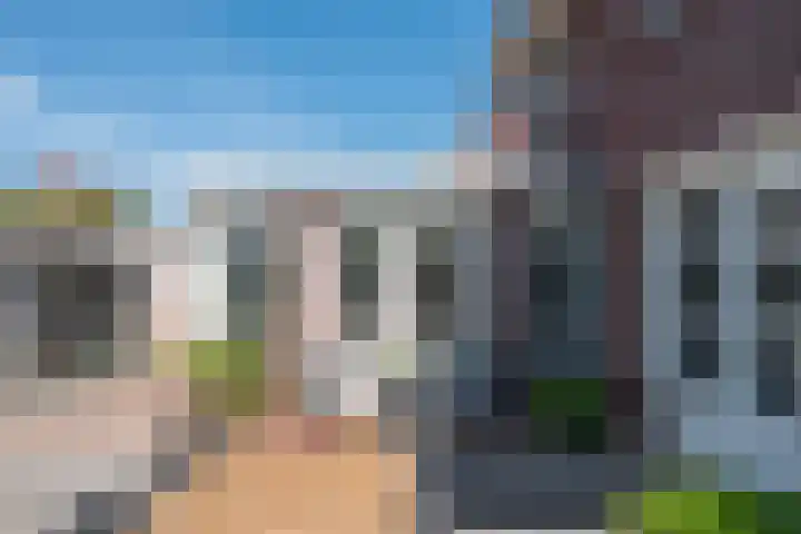 Visven 55 Veghel thumbnail 46