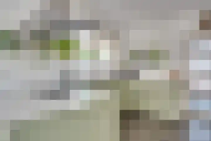 Visven 55 Veghel thumbnail 5