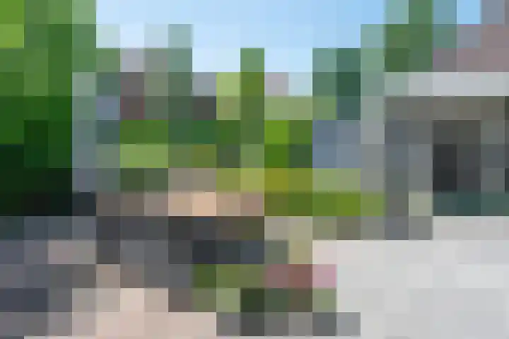 Visven 55 Veghel thumbnail 50