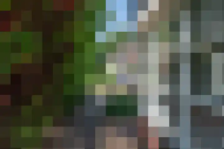 Visven 55 Veghel thumbnail 53