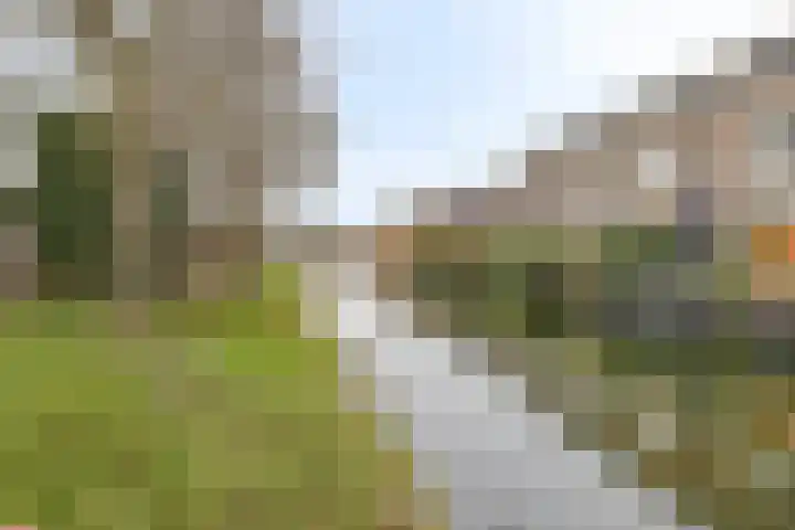 Visvreugdstraat 39 Rotterdam thumbnail 4