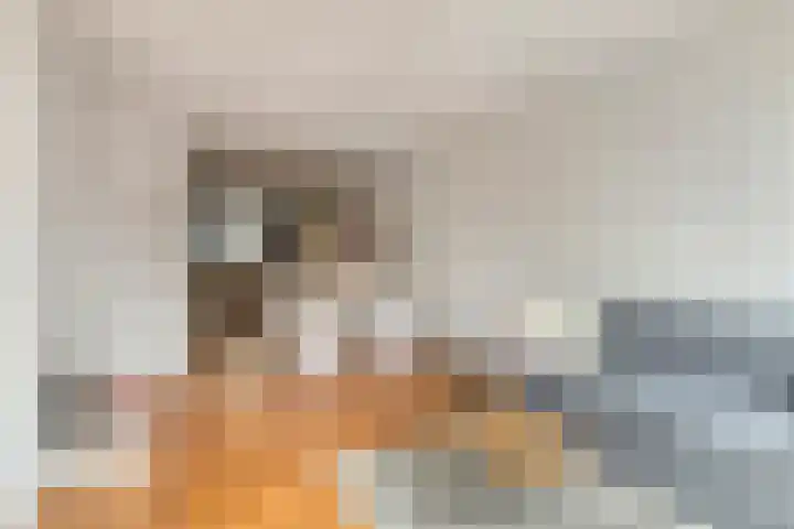 Visvreugdstraat 39 Rotterdam thumbnail 9