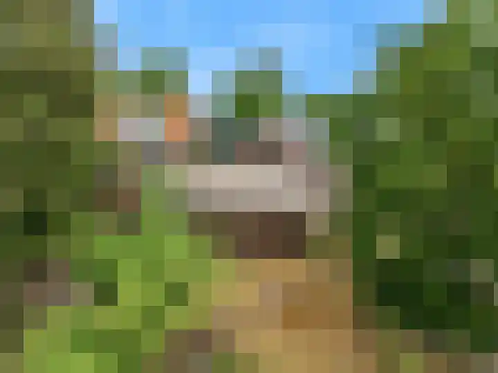 Visweg 53 Limmen thumbnail 37