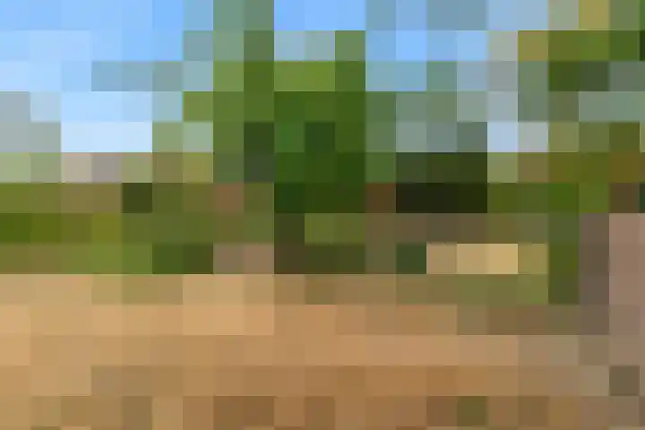 Visweg 53 Limmen thumbnail 38