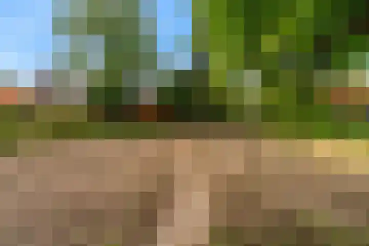 Visweg 53 Limmen thumbnail 39