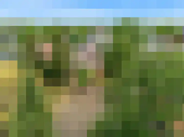 Visweg 53 Limmen thumbnail 4
