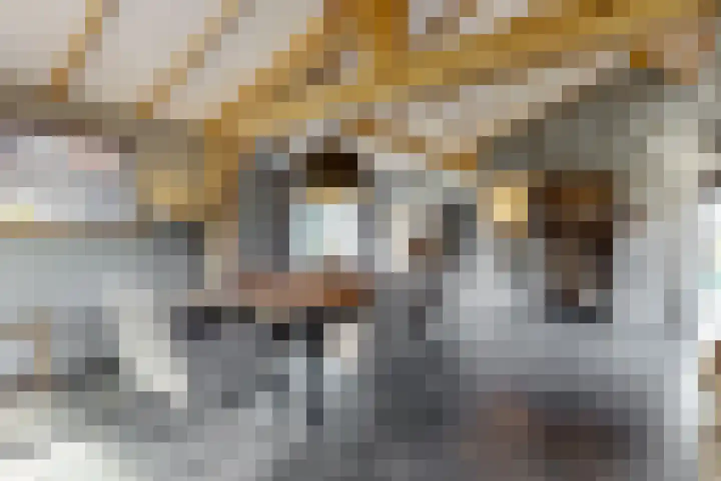 Visweg 71 Limmen thumbnail 13