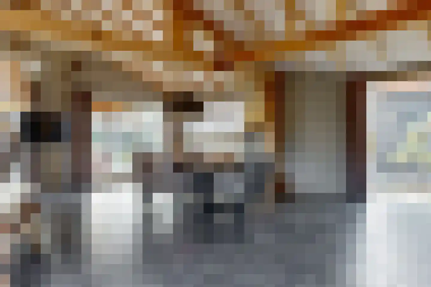 Visweg 71 Limmen thumbnail 14