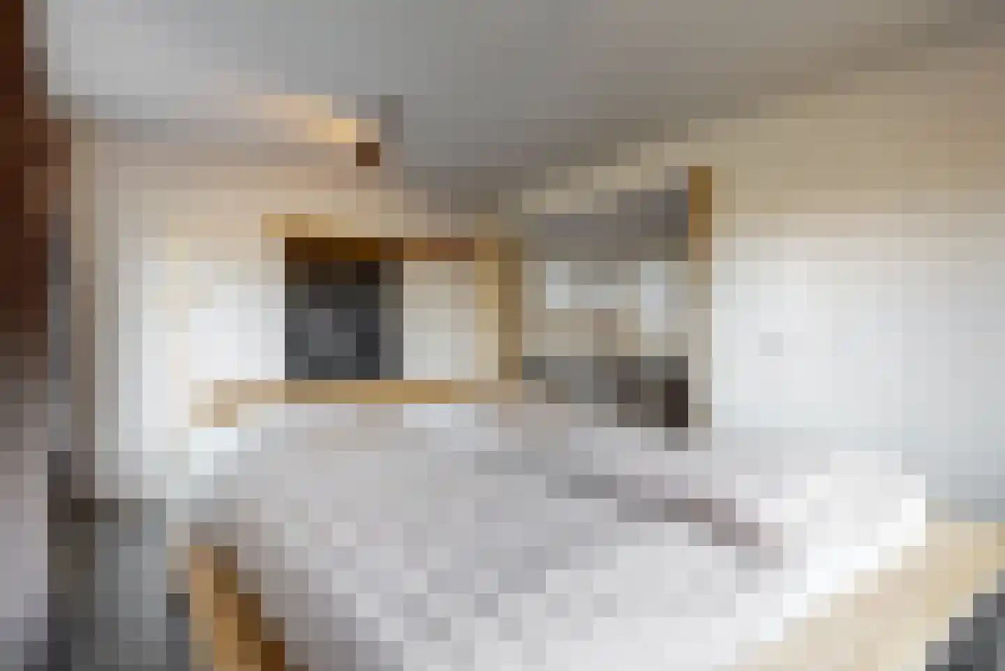 Visweg 71 Limmen thumbnail 22