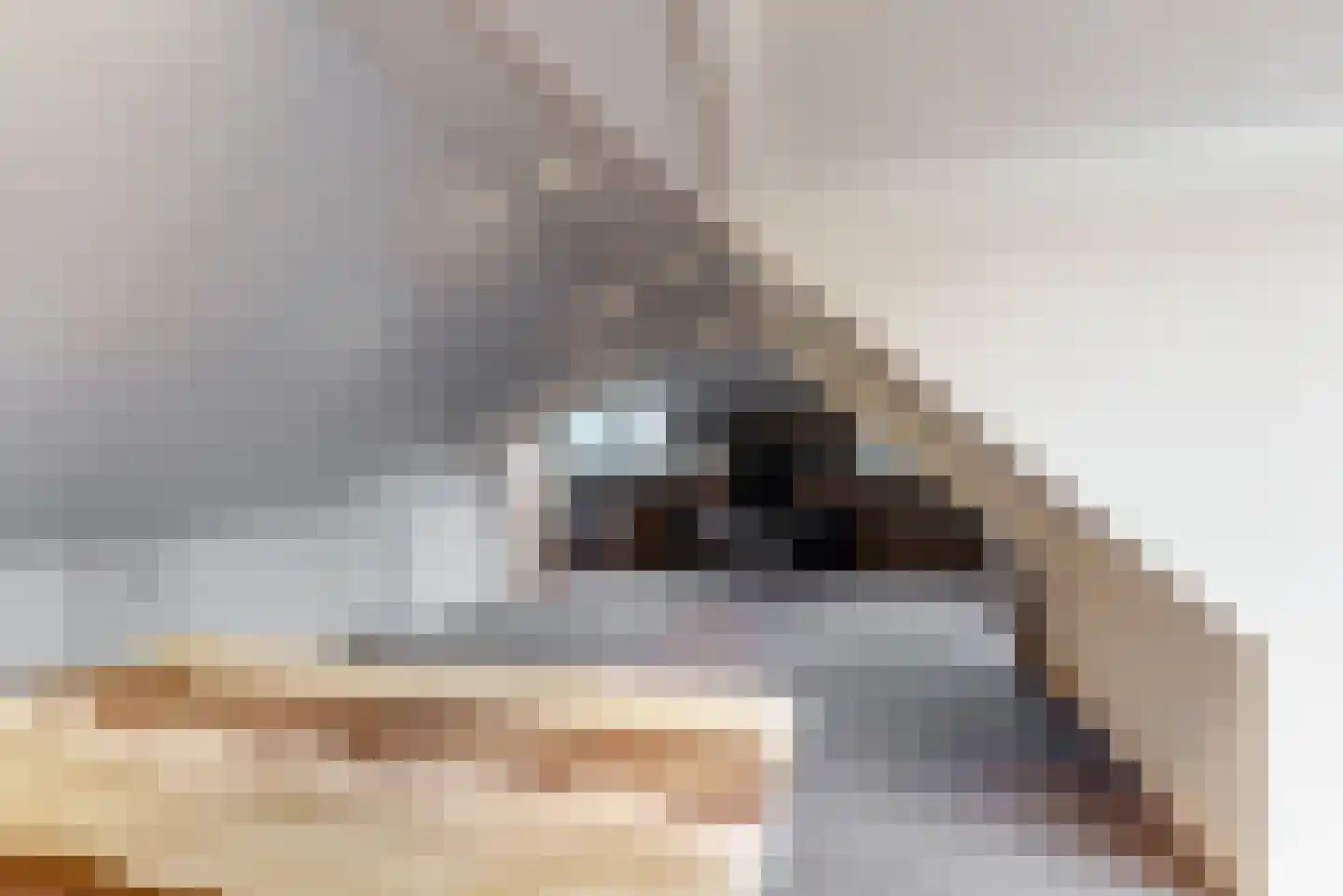 Visweg 71 Limmen thumbnail 41