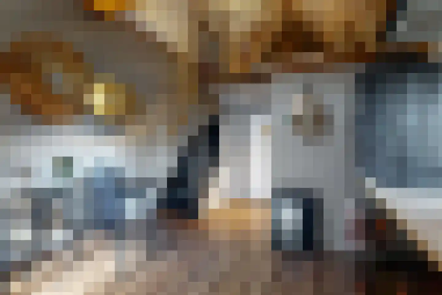 Visweg 71 Limmen thumbnail 48