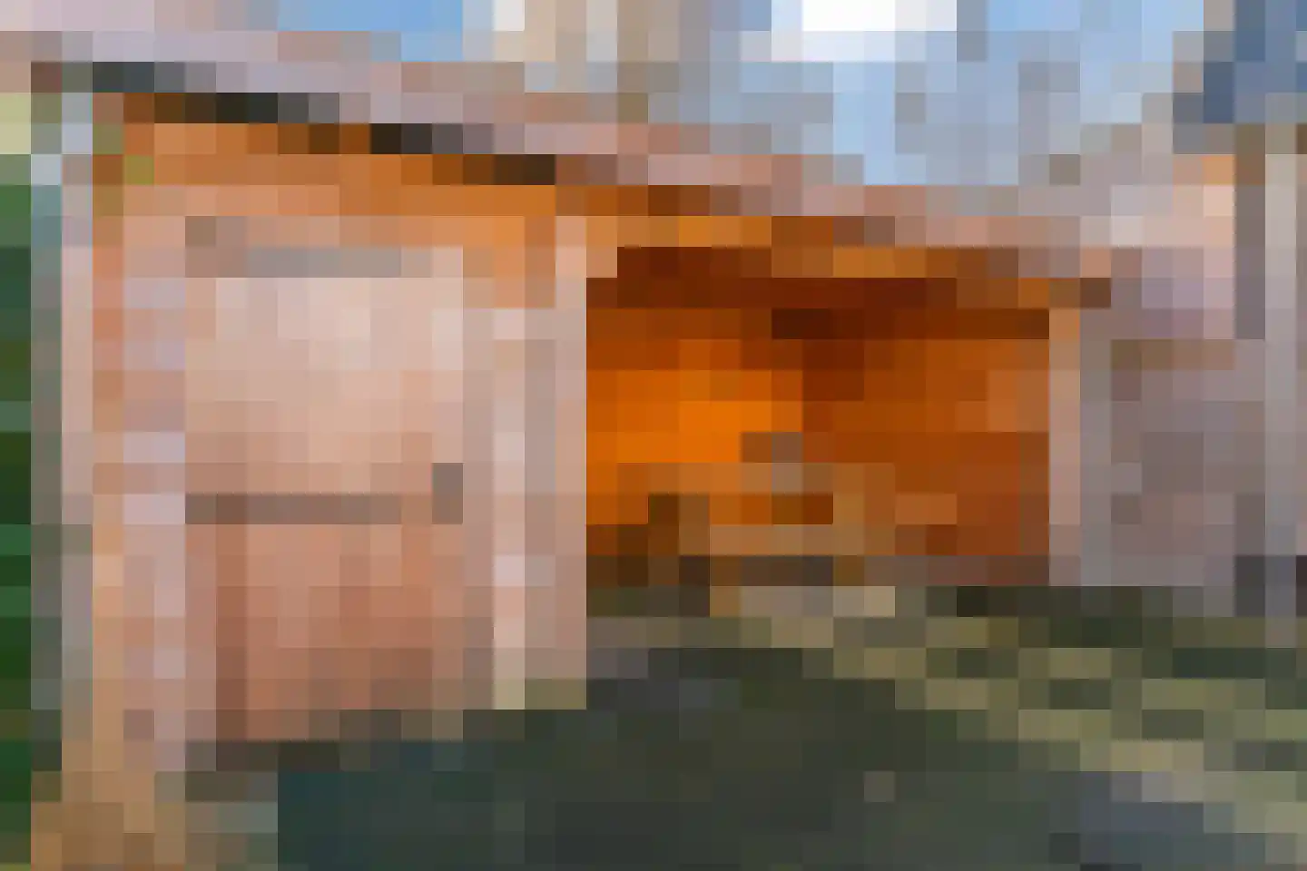 Visweg 71 Limmen thumbnail 60